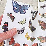 Butterflies Decoupage Paper