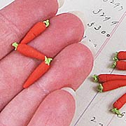 Carrots - Set of 12