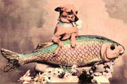 Dogfish Postcard