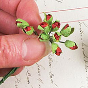 Closed Red Tiny Rose Buds