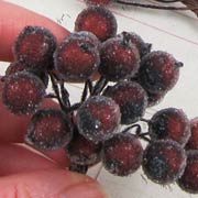 Small Frosted Berries - Coffee