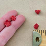 Carved Coral Flowers
