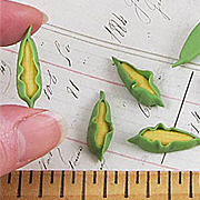 Miniature Corn - Set of 6