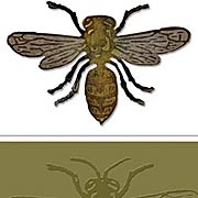 Layered Bee Die & Embossing Folder Set