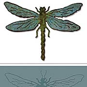 Layered Dragonfly Die & Embossing Folder Set