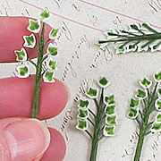 Miniature English Ivy Stems