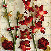 Botanica Floral Ephemera Picks - Red