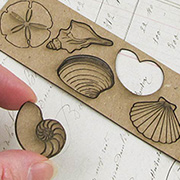 Etched Chipboard Seashell Set
