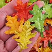 Mini Oak Leaves in Bag*