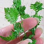 Mini Fern Garland