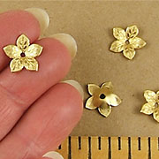 5-Petal Flower