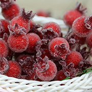 Frosted Berry Picks - Single Stems