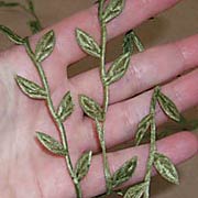 Stitched Leaf Ribbon - Moss Green