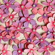 Darjeeling Mini Pearl Daisies - Hyacinth
