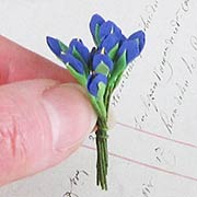 Purple Iris Bud Stems