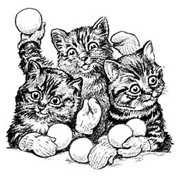 Kittens/Snowballs