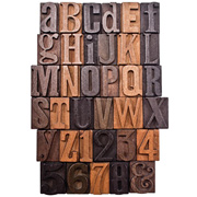 Tim Holtz Letterpress Wood Letters