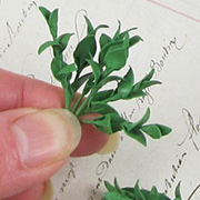 Miniature Lily Leaf Stems