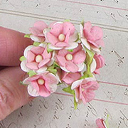 Small Pale Pink Mulberry Blossoms*