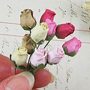 Mini Rose Buds - Cream-Pink-Brown*