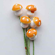 Mushrooms - Orange