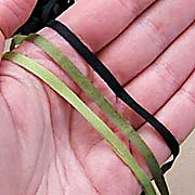 4mm Silk Ribbons - Light & Dark Moss, Black