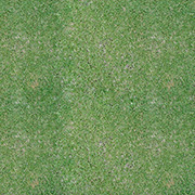 Natural Grass Scrapbook Paper