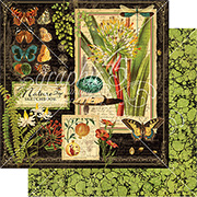 Nature Sketchbook Scrapbook Paper