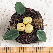 Nest with Eggs and Leaves