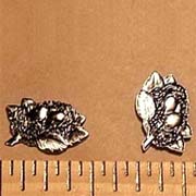 Bird Nest Charms