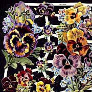Pansies Dresden Scraps