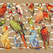 Parrots Dresden Scraps