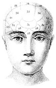 Phrenology Head