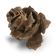 Tim Holtz Jumbo Tattered Pinecone Die