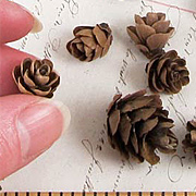 Miniature Pine Cones