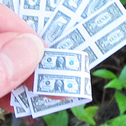 American Paper Play Money