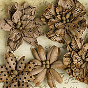 Darjeeling Paper Flowers - Printed Kraft