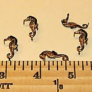 Pronged Seahorses