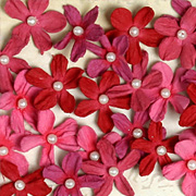 Darjeeling Mini Pearl Daisies - Red Raspberry