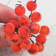 Small Frosted Berries - Red-Orange