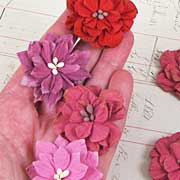 Teastained Dahlias - Red Raspberry