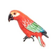 Mini Red Macaw Parrot