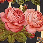 Dresden: Pictures (Victorian Scraps)