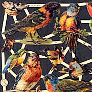 Robins Dresden Scraps