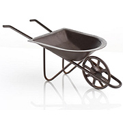 Rusted Wheelbarrow