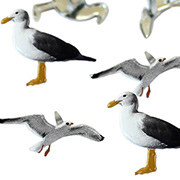 Seagull Brads