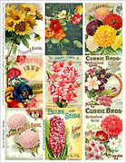 Seed Catalog ATCs Collage Sheet