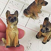 Sitting German Shepherd Puppy Dog