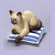 Brown Siamese Sitting Cat