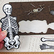 Vintage Articulated Skeleton